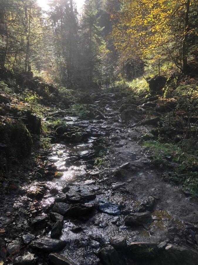 Sankt Johann im Saggautal Gaestezimmer Klopfer מראה חיצוני תמונה