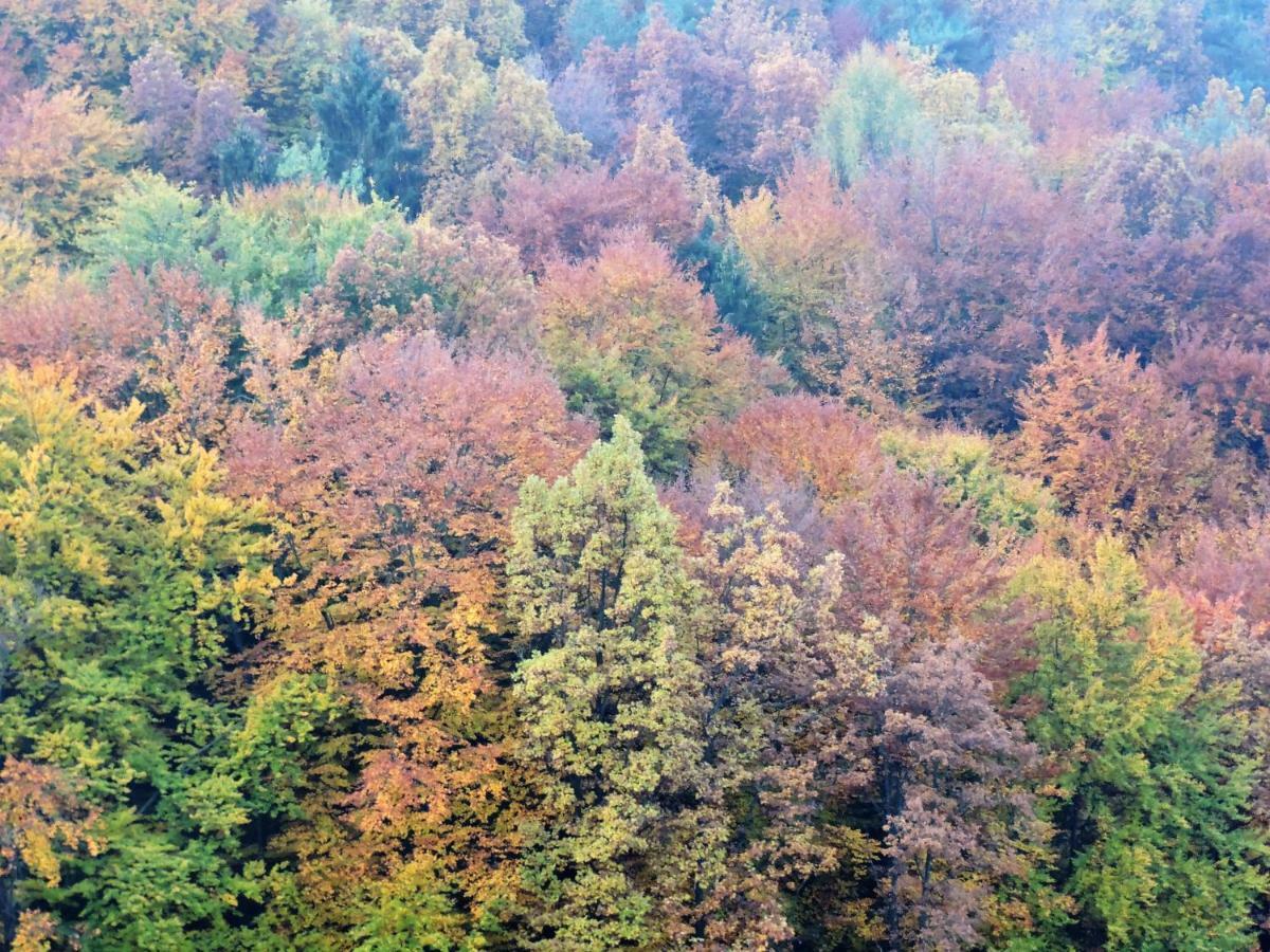 Sankt Johann im Saggautal Gaestezimmer Klopfer מראה חיצוני תמונה